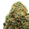 BC-Exotics-Midnight-Special-Cannabis-Strain