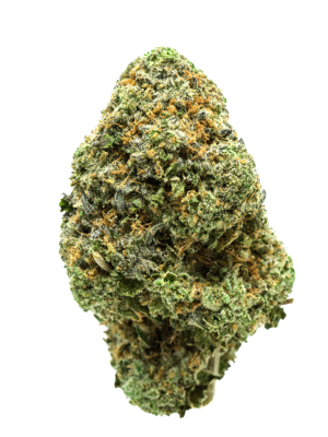 BC-Exotics-Midnight-Special-Cannabis-Strain