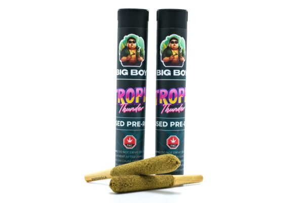 Big-Boy-Infused-Pre-Rolls-Tropic-Thunder