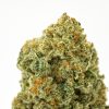 MAC-Stomper Cannabis Strain