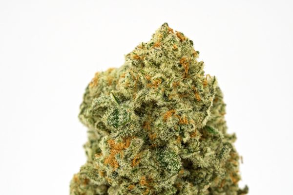 MAC-Stomper Cannabis Strain