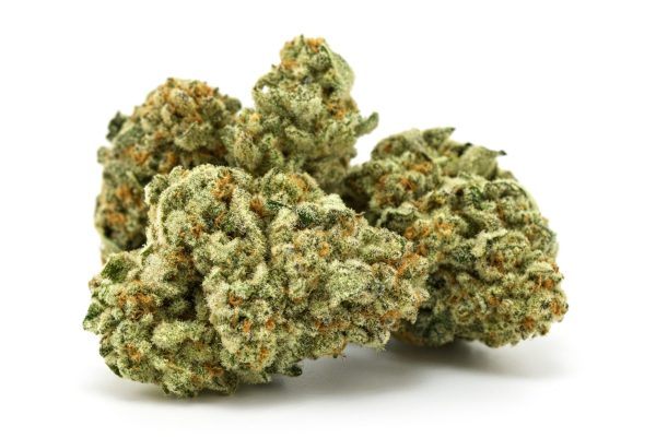 MAC-Stomper Cannabis Strain