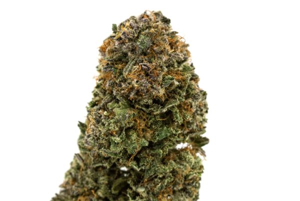 Violet-Fever Cannabis Strain