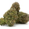 Violet-Fever Cannabis Strain