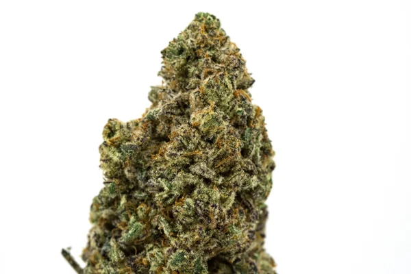 AAAA Lemon Cherry Pie