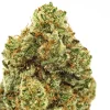BC-Exotics Banana Punch Cannabis Strain Close Up