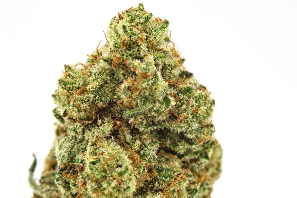 BC-Exotics Banana Punch Cannabis Strain Close Up