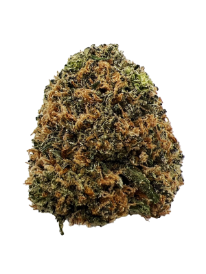 BC-Exotics Gasberry Cannabis Strain