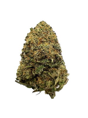 BC-Exotics Kush Mintz Cannabis Strain