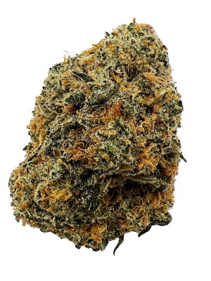 BC-Exotics El Chapo Cannabis Strain