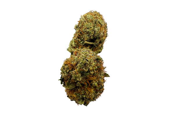 Bubba High res BC Exotics Canada