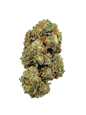 BC-Exotics Rosebud Cannabis Strain