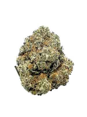 Buy Blue Dream from Kubo Cannabis