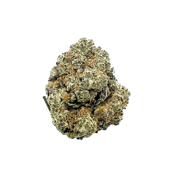 Buy Blue Dream from Kubo Cannabis