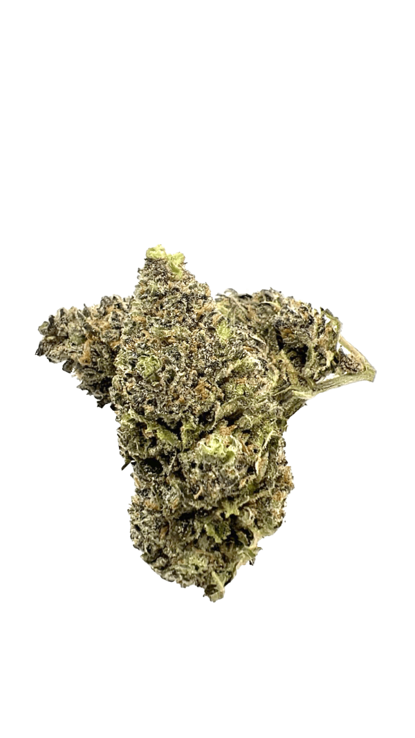 AAA White Rhino