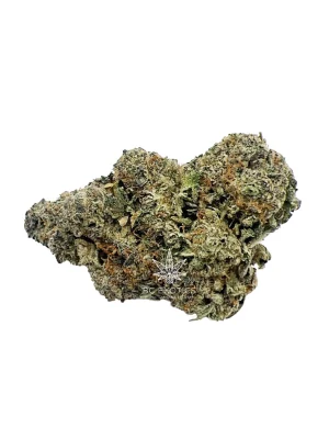 AAAA Gorilla Punch available at BC Exotics