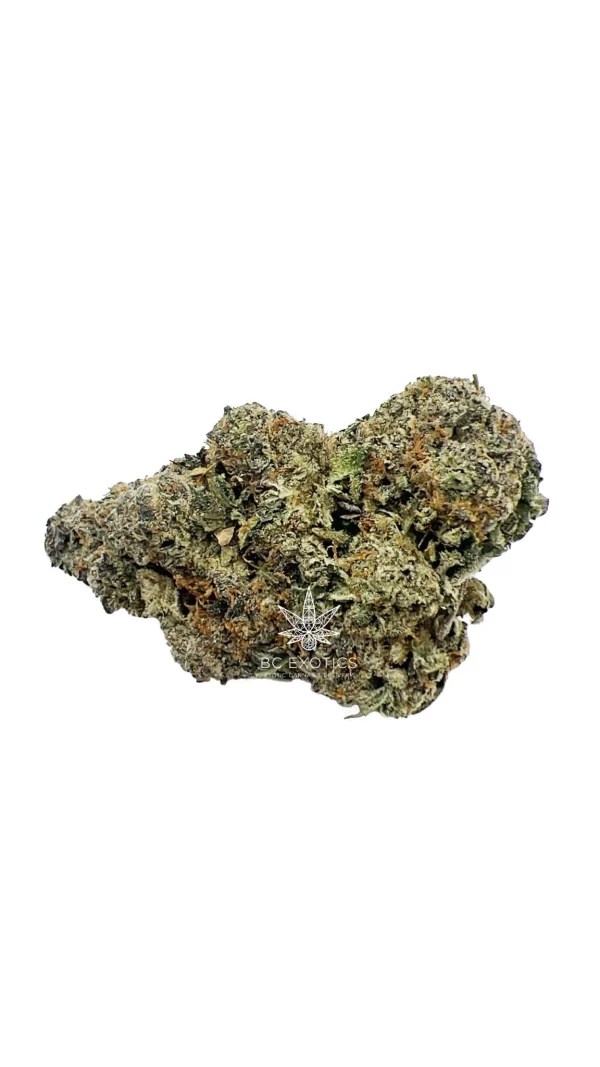 AAAA Gorilla Punch available at BC Exotics