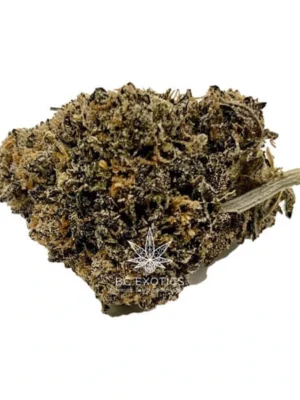 AAAA Grape Kush