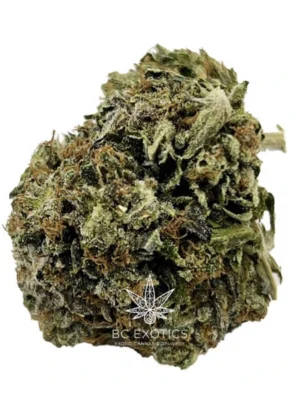 AAAA Pink Kush